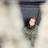PhotosBySHill's profile image
