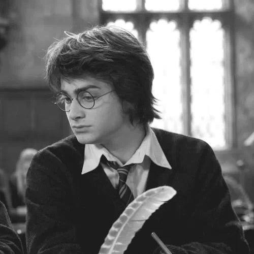 El niño que vivio,Mis padres murieron por mi Soy Gryffindor de corazon Valiente igual que ellos #IamHPRol