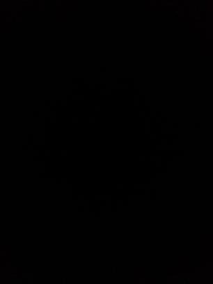 TaraLeeBertke's profile picture. 