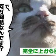 上から目線発見BOTさんのプロフィール画像