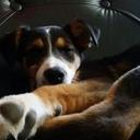 Otto fernandez - @Ottofernandez19 - Twitter