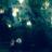 juliana_cph's profile image