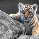 Barry Rotman - @BarryRotman - Twitter