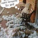 joel rojo portillo - @JoelRojolobo18 - Twitter