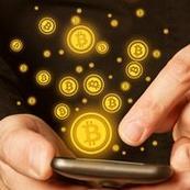 FirstWhitePaper Profile Picture
