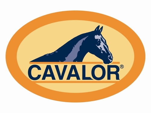 CavalorInc's profile picture. 