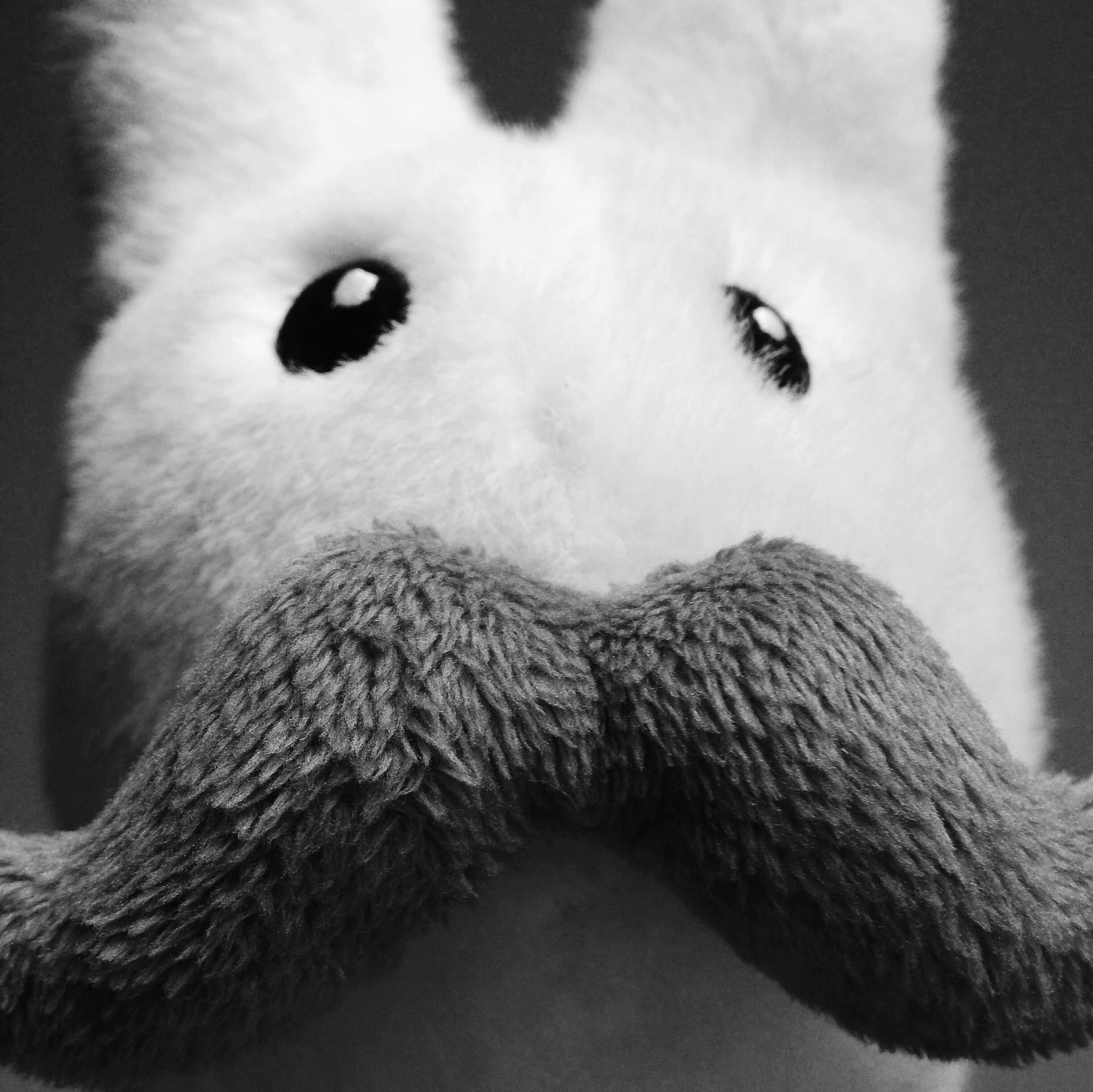 UndercovaHipsta's profile picture. ✖ one does not simply analyse nerd culture ✖