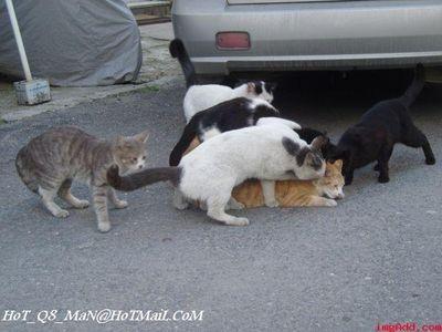 mraqbar77's profile picture. 