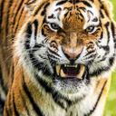 Crow!! - @Crow_Mack - Twitter