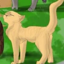 ♥️Oh my god, look at her butt. *fluffs hair and does make up* Oh you know you be wantin' this body. ♥️ BFFL: @WarriorCats_Nya