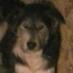 Chip Bradley (@grayson1023c) Twitter profile photo