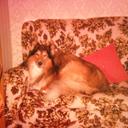 Marie Broad - @broad_marie - Twitter