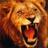 JACOBSIMBA2's profile image