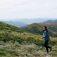 Haiyin Liu (@haiyinl) 's Twitter Profile Photo