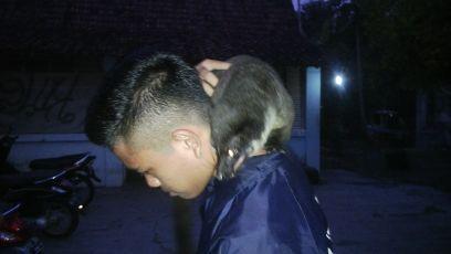 Minseng_'s profile picture. it's me