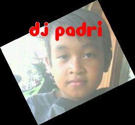 Pin BBM : 581E9C4F
Facebook : PaDriansyah Padi