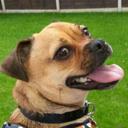 Sally Torres - @SallyTo39729593 - Twitter