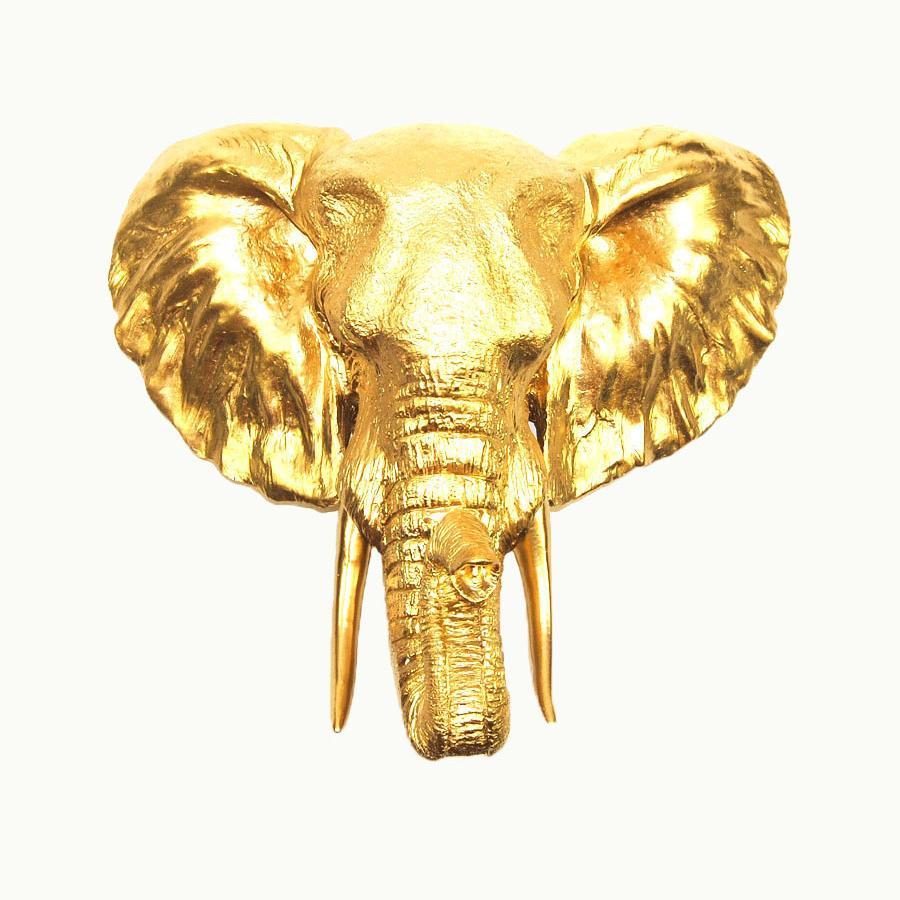 feralerudite's profile picture. ageless ⏃  sexless                                      living life in disguise