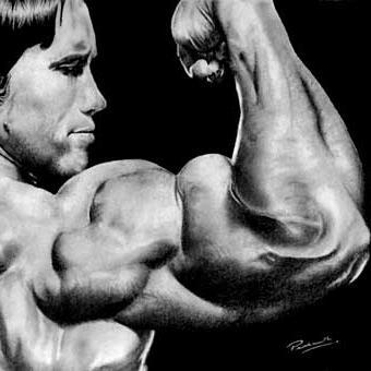 BeFitCommunity's profile picture. BeFitCommunity is a community that aims to help those who are struggling with fitness. Follow us for encouragement tweets.