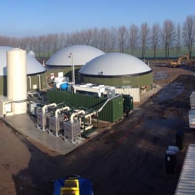 KwekerijFranico's profile picture. 