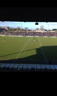 Reillydog81's profile picture. 