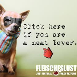 FleischeslustES's profile picture. Comida 100% natural para nuestros perros y gatos. 100% libres de gluten, cereal, mono proteínicos, para que tengas dónde elegir.