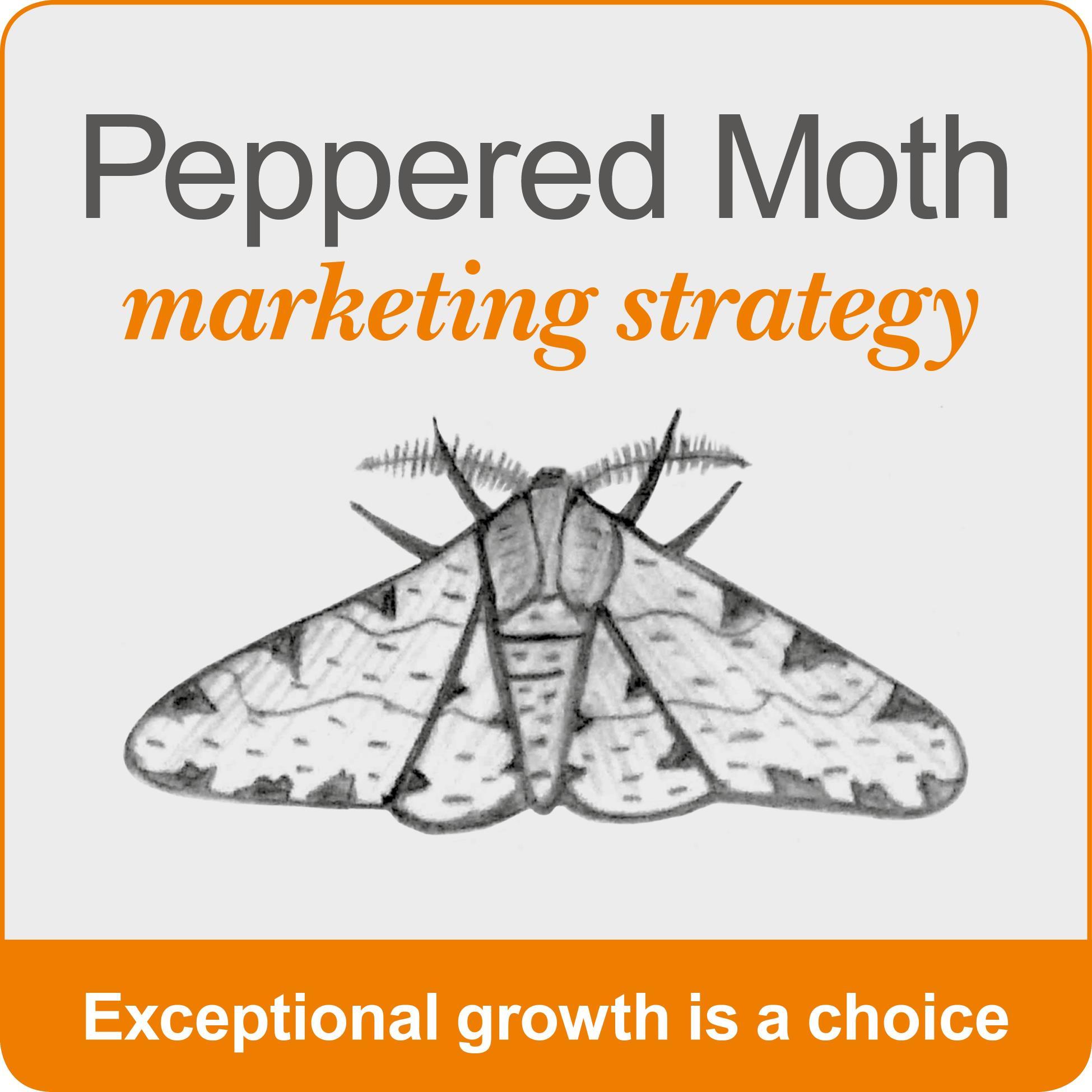 Practical and robust marketing strategies to drive exceptional growth.