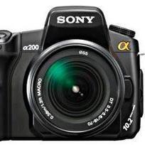 camerafeatures's profile picture. 