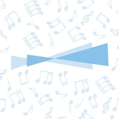 Spanish Point Technologies provides world-class, cost-saving musical rights licensing and royalty distribution solutions to the Music Copyright Industry.