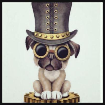 P_NAAER's profile picture. 