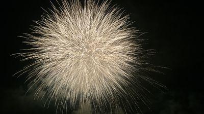 女だけど男みたいな女です。中身は男。車とインテリアにしか欲がありません。笑。