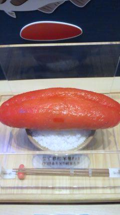 yyorrossikku's profile picture. フォローご自由に。自由気ままに生存中