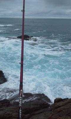 trampaslrx7's profile picture. 