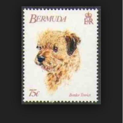 UK based online stamp seller and collector. We specialise in GB and Commonwealth. Visit our Stores on EBay borderphilatelic and worldstamps4u