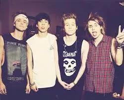 × 5 SECONDS OF SUMMER × 0/4 :( • LUKE • ASHTON • MICHAEL • CALUM