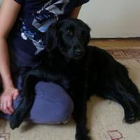 Ивана Стојковић (@ivanaedu) 's Twitter Profile Photo