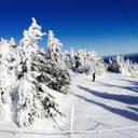 David Martucci - @martucci_david - Twitter