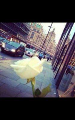 ‏‏‏‏آسًسًـتُغّ ـفُر آلَلَهِ آلَعَ ـظٌـيّمِ وِأتُوِبّـ آلَيّهِ
 و
آلَخٌ ـآصِـ مِمِنِوِعَ ـ () ♡