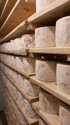 Now called Havey and Brockless the fine food co. Supplier of Artisonal Cheese, Charcuterie, Chocolate, Olives, Olive Oils and more.