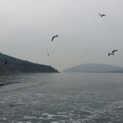 Abdullemam's profile picture. 