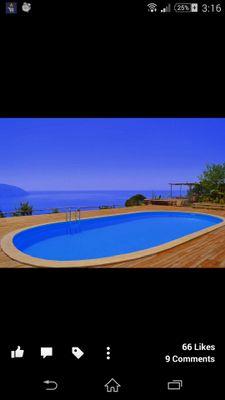 DomGuesswholol's profile picture. 