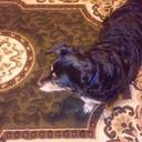 Matthew - @MatthewWhaley4 - Twitter