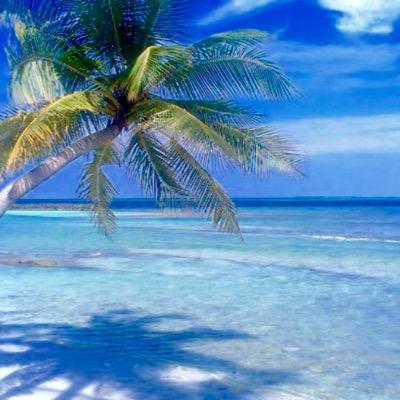 RENDEREMO IL VOSTRO SOGGIORNO ALLE MALDIVE,UNICO STRAORDINARIO E SOPRATTUTTO ECONOMICO.CHIEDI IL TUO PREVENTIVO X INFO maldivesinguesthouse@outlook.com
