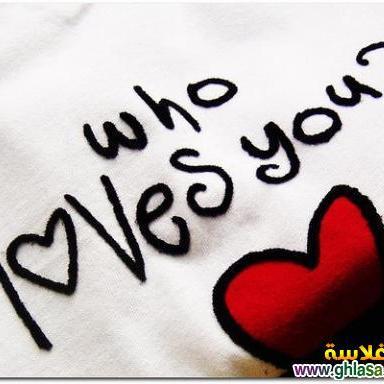 UNwfdKP6pQr5A5q's profile picture. 