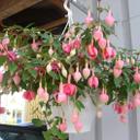 Hasse Andersson - @hansaandersson1 - Twitter