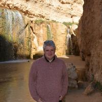 Piet Looijen (@looijenpiet) 's Twitter Profile