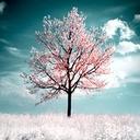 Tracy Moose - @TracyMoose - Twitter