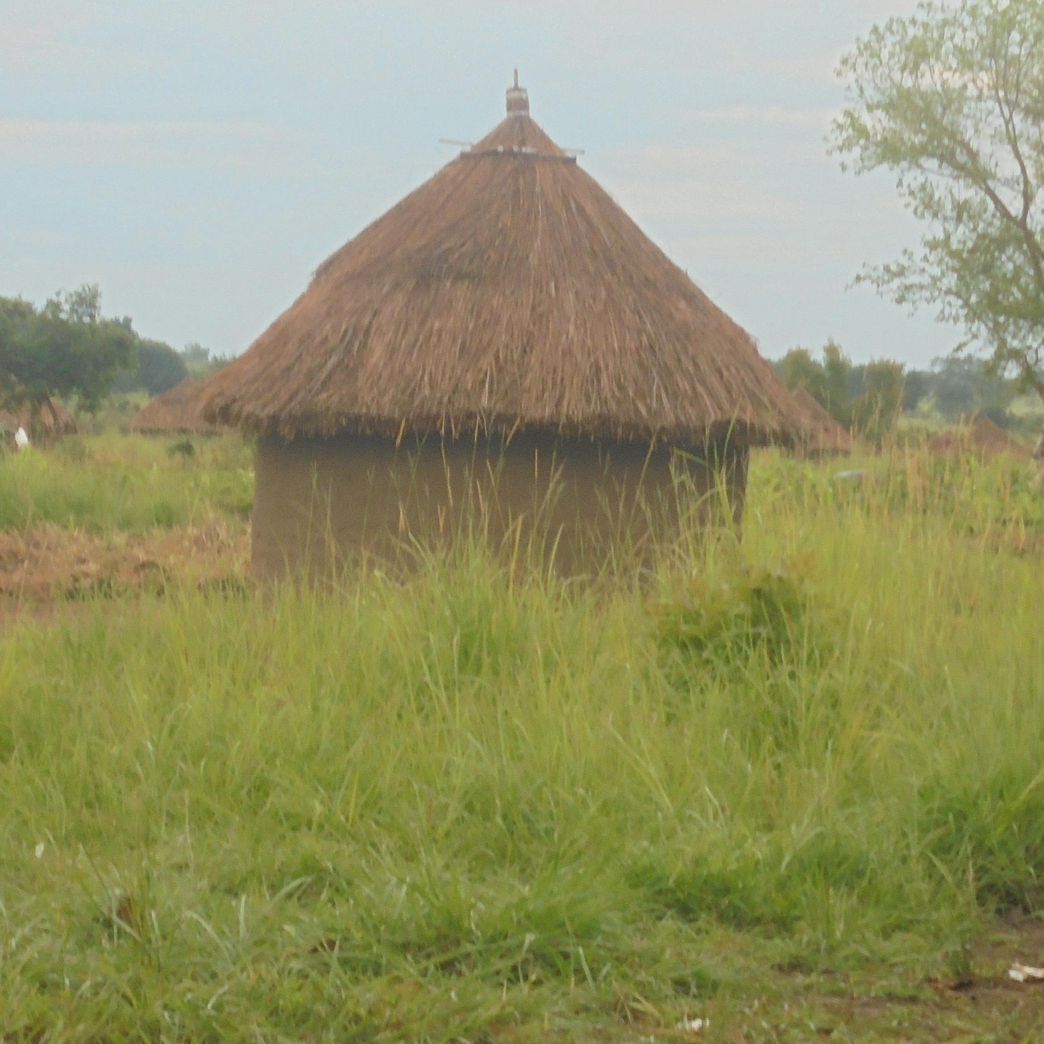 HelpYourselfSoc's profile picture. Local NGO, Intiator for Social Development, Poverty alleviation, Women promoter, Awareness builder