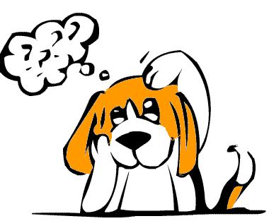 margmeijers's profile picture. 