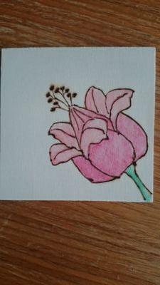 welcome to pyrography by kim. I love drawing and have recently taken up woodburning. This is a chance for me too show my work..